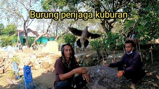 Burung ikut lebaran Melepaskan burung di area pemakaman [upl. by Airrej]