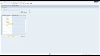 SAP screen configuration for PA40 personnel actions [upl. by Annaer206]