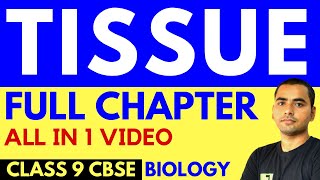 TISSUE FULL CHAPTER  CLASS 9 CBSE [upl. by Itsa]