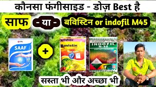 saff fungicides vs indofil m45  कौनसा फूँगीसाइड कॉम्बिनेशन सबसे अच्छा [upl. by Omle]