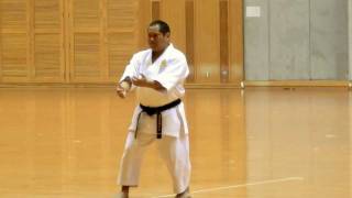 Tenchi no Kata at 5th Uchinanchu Karate and Kobudo Exchange [upl. by Andrien]