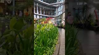 Neo Soho Mall Jakarta mall shorts jalanjalan [upl. by Yboj37]