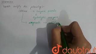 Explain briefly the following Chitinase  CLASS 12  PRINCIPLES AND PROCESSES IN BIOTECHNOLOGY [upl. by Mackey]