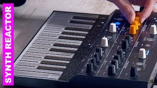 A Musical Introduction to Arturia MicroFreak TSR19 [upl. by Monsour]