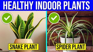 10 HEALTHIEST Indoor Plants You Must Have In Your Home ALWAYS [upl. by Nrojb894]