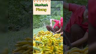 Pisang crispy renyah dan enak buat ngemil  pisang goreng krispi cemilan food cooking shorts [upl. by Ap336]