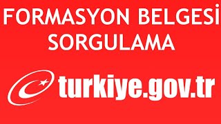 EDevlet Formasyon Belgesi Sorgulama Nasıl Yapılır [upl. by Annaitat]