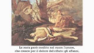 quotEco e Narcisoquot di Ovidio letta da Paolo Rossini [upl. by Nelia]