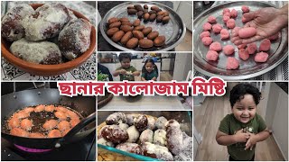 ছানার কলোজাম মিষ্টির আনকাট রেসিপি যা হুবহু ফলো করলে আপনার মিষ্টি পারফেক্ট হতে বাধ্য [upl. by Lezti]