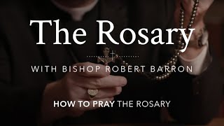 How to Pray the Rosary with Bishop Barron [upl. by Humpage71]