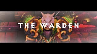 WoW  The Warden  Level 29 Twink Build  10000 Health [upl. by Cly]