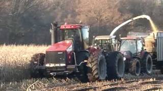 CaseIH STX Skamstrup Maskinstation Trekkerweb [upl. by Goodrow897]