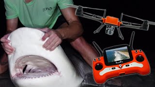 Drone fishing for sharks [upl. by Ginevra]