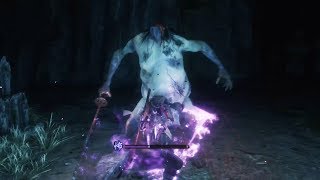 Sekiro Shadows Die Twice  Headless Boss Fight amp Location  Sunken Valley [upl. by Nivan732]