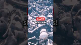 Giant Skeletons Found in 1800s USA historybuff hiddenhistory coverups giants [upl. by Gass]