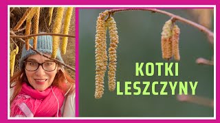 Kotki Leszczyny Dla ZDROWIA [upl. by Rudyard]