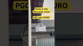 Pardo marcando notas Praia Grande clássico selo oiro cantodocurio [upl. by Nedlog999]