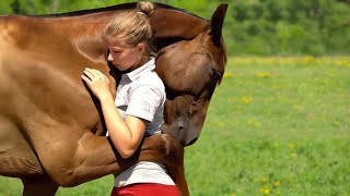 These Animals Reunited With Owners After Years [upl. by Melquist]