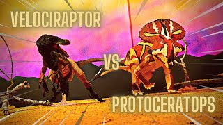 Velociraptor Vs Protoceratops  Stop Motion With Dinosaurs [upl. by Nwaf]