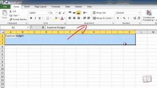 Aligning and Formatting Text in Excel 2010 [upl. by Donnenfeld]