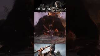 Black Bear Guai blackmythwukonggameplay blackmythwukongps5 ps5 playstation5 pc pcgaming [upl. by Billen569]