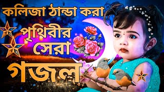 কলিজা ঠান্ডা করা সুরে পৃথিবীর সেরা গজল। New 2023 Bangla Gojol  SelimShikhon 2025 [upl. by Lenette]