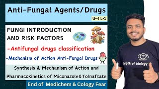 Antifungal Drugs  Classification of Antifungal agents  Antifungal Agents mechanism of action [upl. by Elylrac]