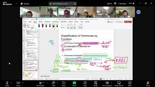 Endocrinology Lecture 2 part 1 [upl. by Chiquia676]