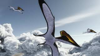 Flying with Pterosaurs [upl. by Chaim559]