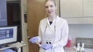 Dental Crown Front Tooth Steps Explained [upl. by Ylrebma]