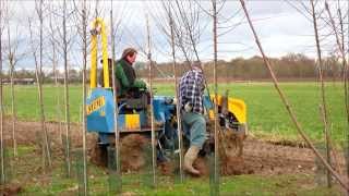 Bomen rooien bij boomkwekerij HJ van Dee [upl. by Aremus245]