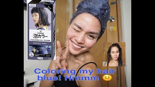 HOW TO COLOR HAIR AT HOME  LIESE DARK NAVY  DIY [upl. by Metzger]