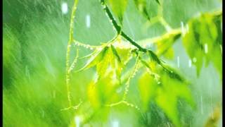 10 Minutes of relaxing rain sounds for Meditation Ideal for Beginners [upl. by Eggett]