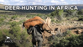 Deer Hunting in Africa  Lone Star Outdoors Show  John X Safaris [upl. by Jamila]