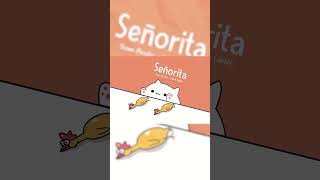 Bongo Cat  Señorita Mr Chicken 🎧 [upl. by Sirkin]