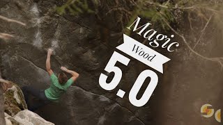 Orrin Coley  Magic Wood 50 [upl. by Sergu]