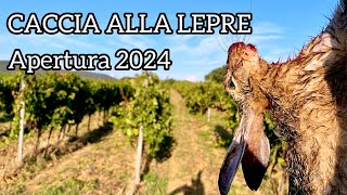 CACCIA ALLA LEPRE  Apertura 2024 [upl. by Chita]