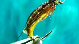 Tying the McPhail Caddis Pupa by Davie McPhail HD [upl. by Abram]