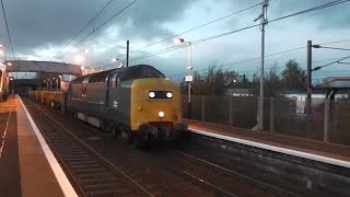 Deltic Does Freight  55022 Royal Scots Grey 6Z56 Kilmarnock  Mossend at Whifflet 011113 [upl. by Faso506]