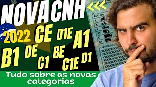 CATEGORIAS B1 C1 D1 CE BE DE TUDO SOBRE A NOVA CNH [upl. by Nohtan]