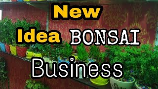 Flower BusinessBonsai Tree 🌲 BusinessStart Your Own Flower Business [upl. by Norby929]