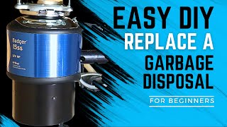 Replacing an InSinkErator Badger Garbage Disposal  Easy DIY for Beginners [upl. by Anidem]