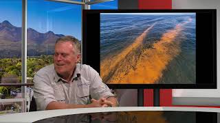 Marine Scientist explains red tide on Garden Route coast [upl. by Nealon]