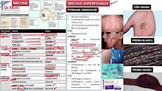 2 MICOSIS SUPERFICIALES Y CUTANEAS [upl. by Eiderf618]