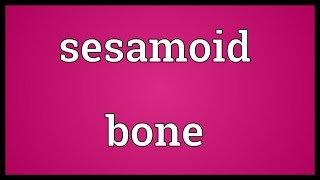 Sesamoid bone Meaning [upl. by Hcra]