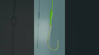 Reliable Fishing Knot 🏆 FishingKnots Knots TIPs DIY Tools [upl. by Yecats]