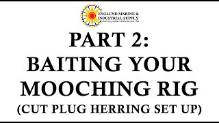 Baiting Your Mooching Rig with Herring [upl. by Downes597]