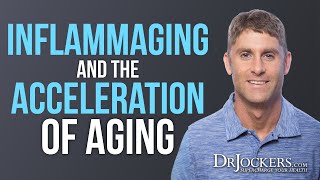 Inflammaging The Role of Inflammation in the Acceleration of Aging [upl. by Lenoyl]