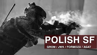 Polish Special Forces quotFor you Fatherlandquot [upl. by Nwahsem]