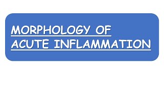 Morphology of Acute Inflammation [upl. by Retsila]